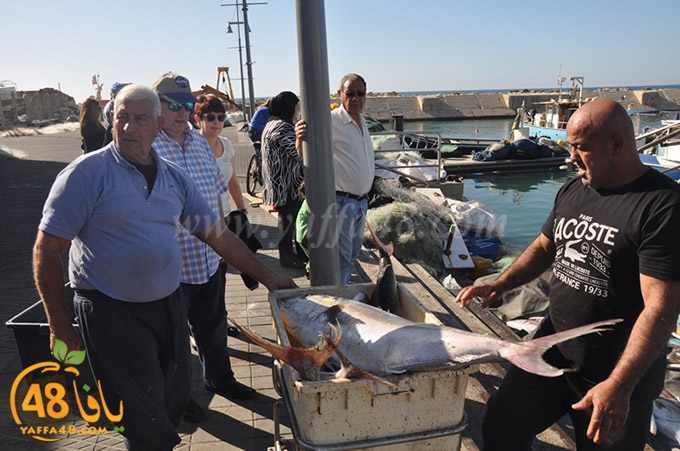 samak antayasa (28).JPG